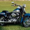 Harley 6