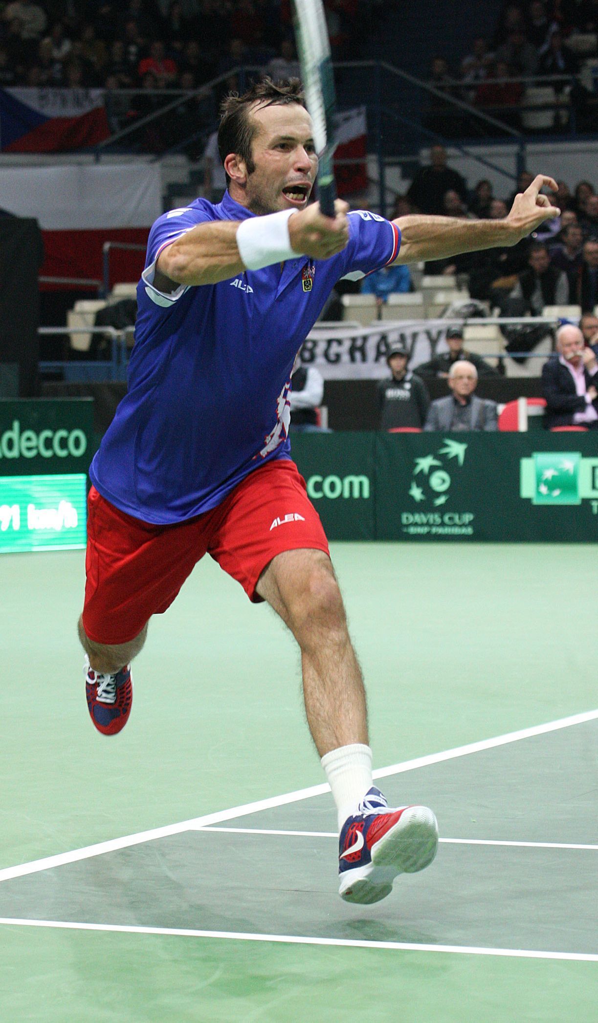 Radek Štěpánek (Davis Cup)