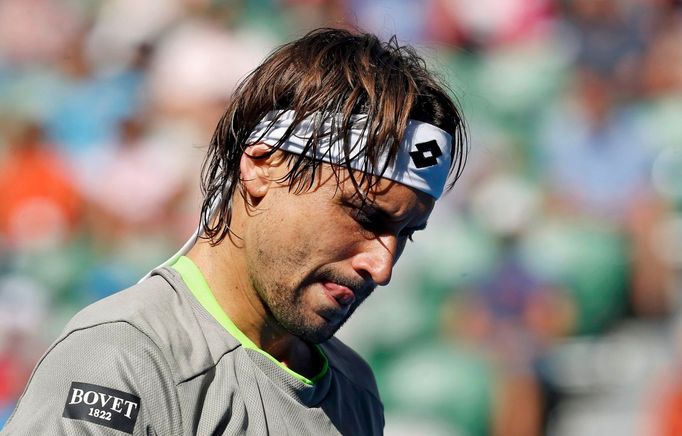 David Ferrer na Australian Open 2014