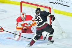 Vladař si připsal v českém brankářském souboji výhru, Vejmelka ovšem čelil 51 střelám