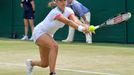 Petra Cetkovská ve Wimbledonu