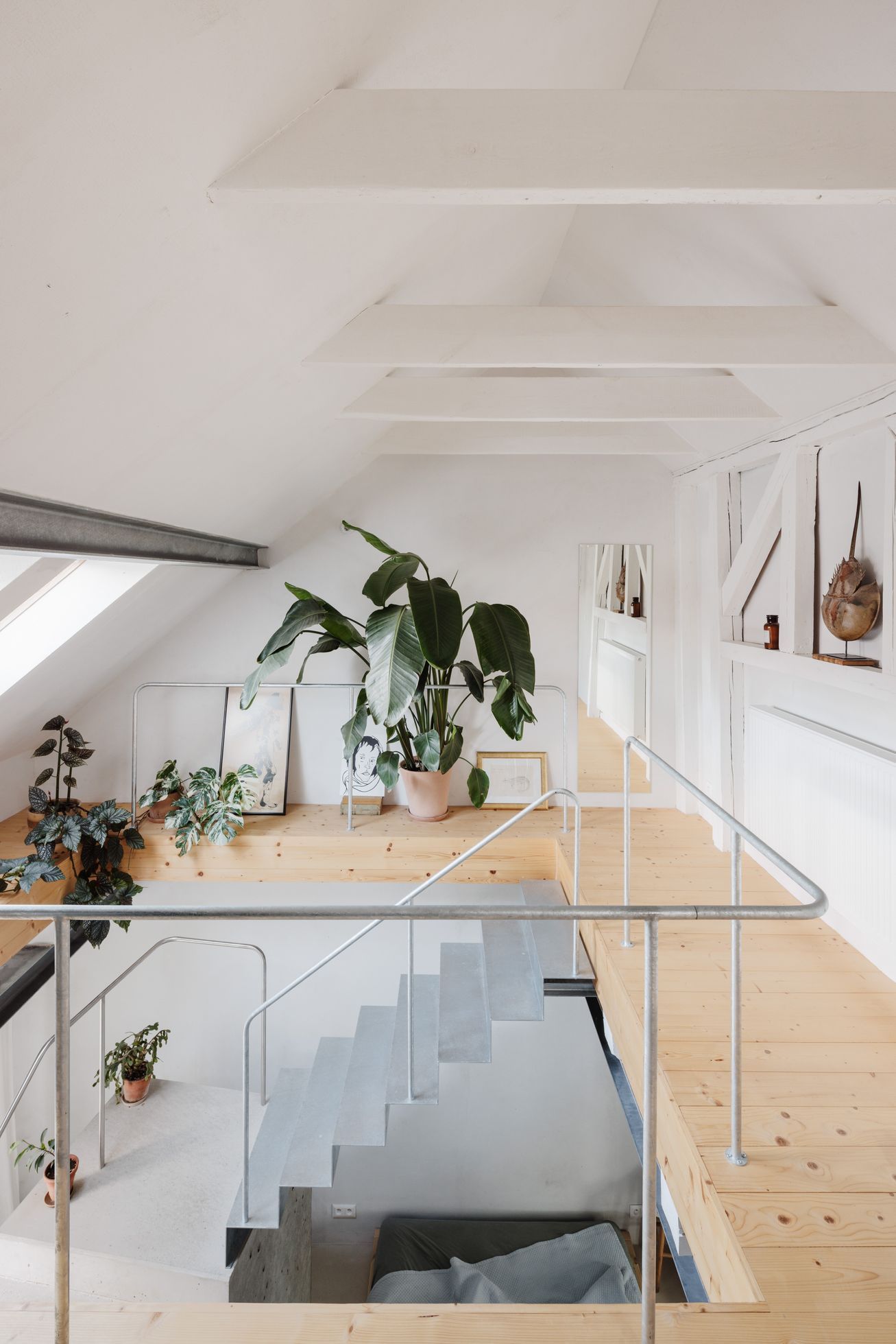 dům, rekonstrukce, slovensko, architektura