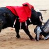 Pamplona - toreadoři vs býci