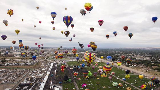 Barevné včely, zebry i Disneyho postavičky. Takový byl největší festival horkovzdušných balónů