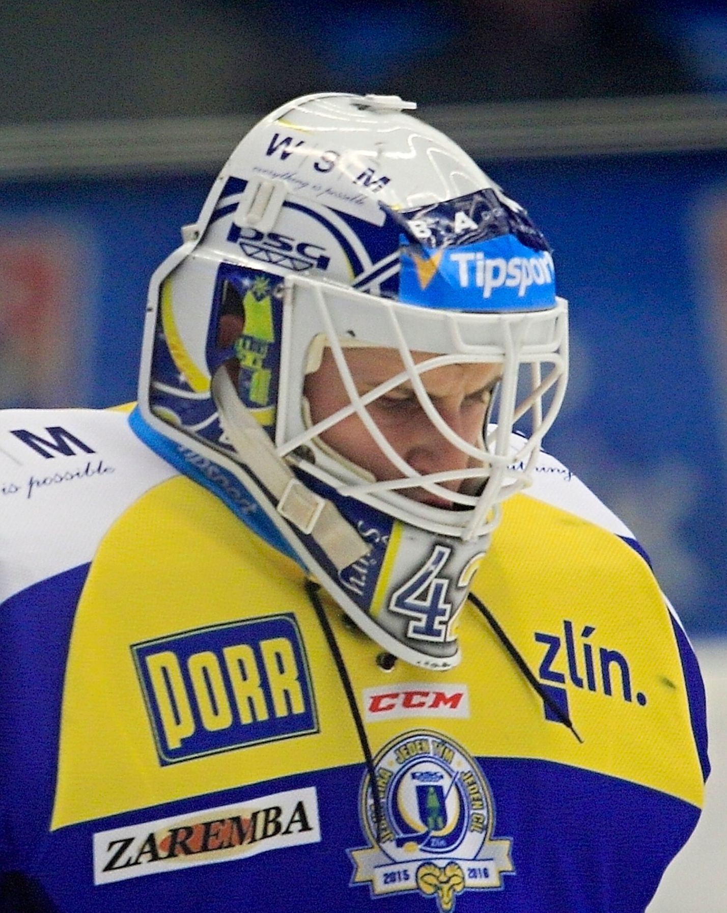 Libor Kašík, PSG Zlín (2015-16)