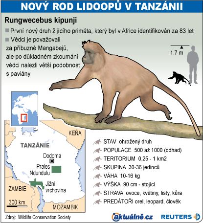 Nový rod lidoopů v Tanzánii