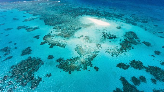 Velký bariérový útes v Austrálii.
