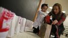 Theresa Volpe helps her son Jaidon Santos-Volpe deliver Valentine's Day cards at Baker Demonstration School in Wilmette, Illinois, February 13, 2013. Volpe and her partner Mercedes Santos are a same-sex couple raising two of their biological children as they struggle to get same-sex marriages passed into law in Illinois. Picture taken February 13, 2013. REUTERS/Jim Young (UNITED STATES - Tags: SOCIETY) Published: Bře. 25, 2013, 6:07 odp.