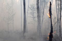 Požár na Sibiři si vyžádal smrt osmi hasičů