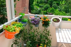 Na balkoně můžete reaxovat, ale také pěstovat bylinky