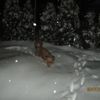 Sněhová nadílka v Rataji nad Sázavou