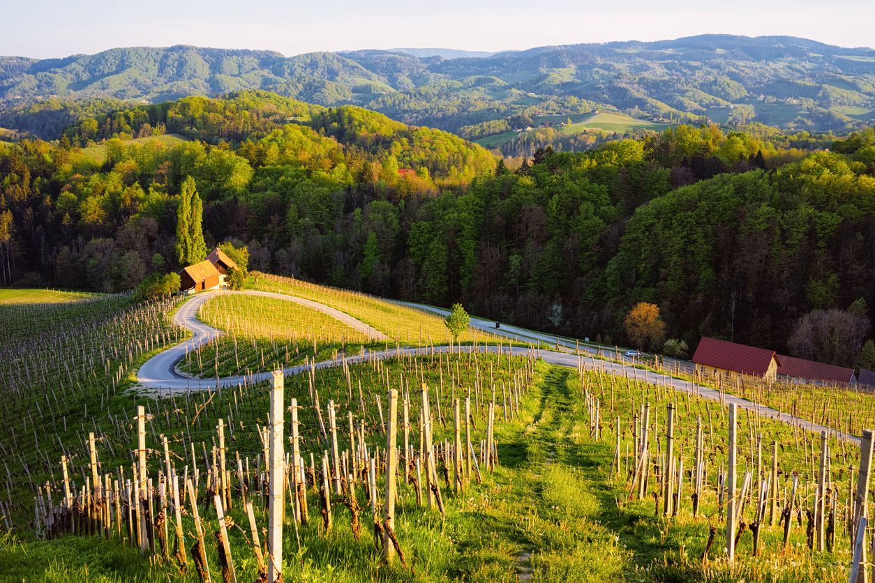 Slovinsko, žena