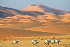 Krajina Uruq Bani Ma'aridv Saudské Arábii se nachází na západním okraji Ar-Rub' al-Chálí, která je známá jako pravděpodobně největší souvislé písečné moře a jediná velká tropická písečná poušť v Asii. Proto byla připsána na seznam UNESCO.