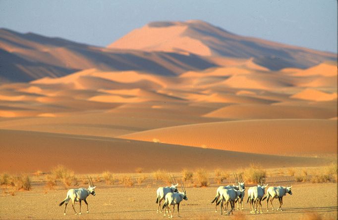 'Uruq Bani Ma'arid, Saúdská Arábie