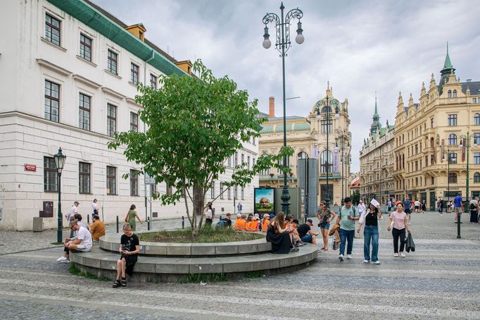 Adaptační proti změně klimatu v Praze.