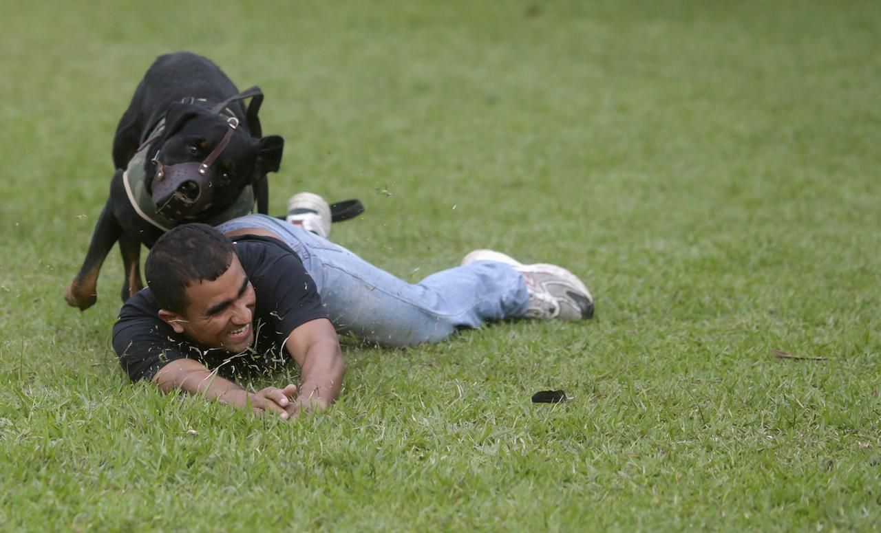 Fotogalerie: Jak vypadají militantní přípravy na fotbalový šampionát v Brazílii