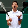 Wimbledon 2011: Djokovič - Tsonga
