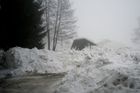 Tající sníh zvedne řeky. Hrozí záplavy, varuje ústav
