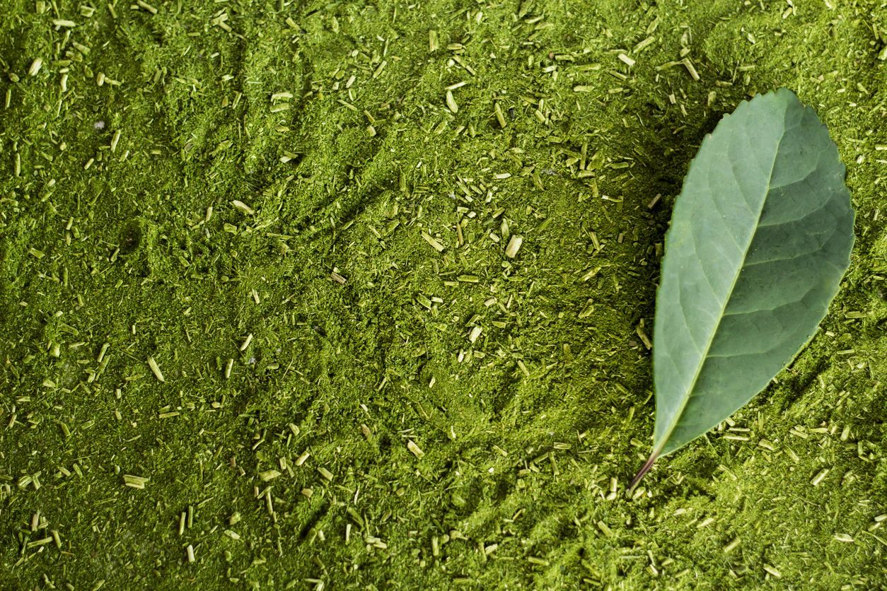 Byliny pro mozek, žena