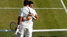 Djokovič vs. Del Potro, semifinále Wimbledonu 2013.