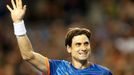 David Ferrer na Australian Open 2016