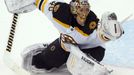 Pittsburgh Penguins - Boston Bruins (Rask zasahuje)