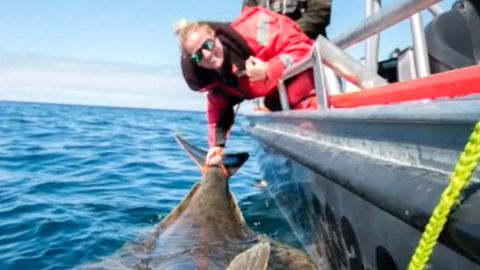 Švédská rybářka ulovila gigantického halibuta. Ryba měřila přes dva metry