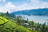 Přední vydavatel cestovatelských průvodců Lonely Planet představil svůj výběr doporučených destinací z celého světa pro následující rok, které by neměly chybět na seznamu přání žádného cestovatele. Srí Lanka je podle průvodce top zemí, kterou v roce 2019 navštívit.