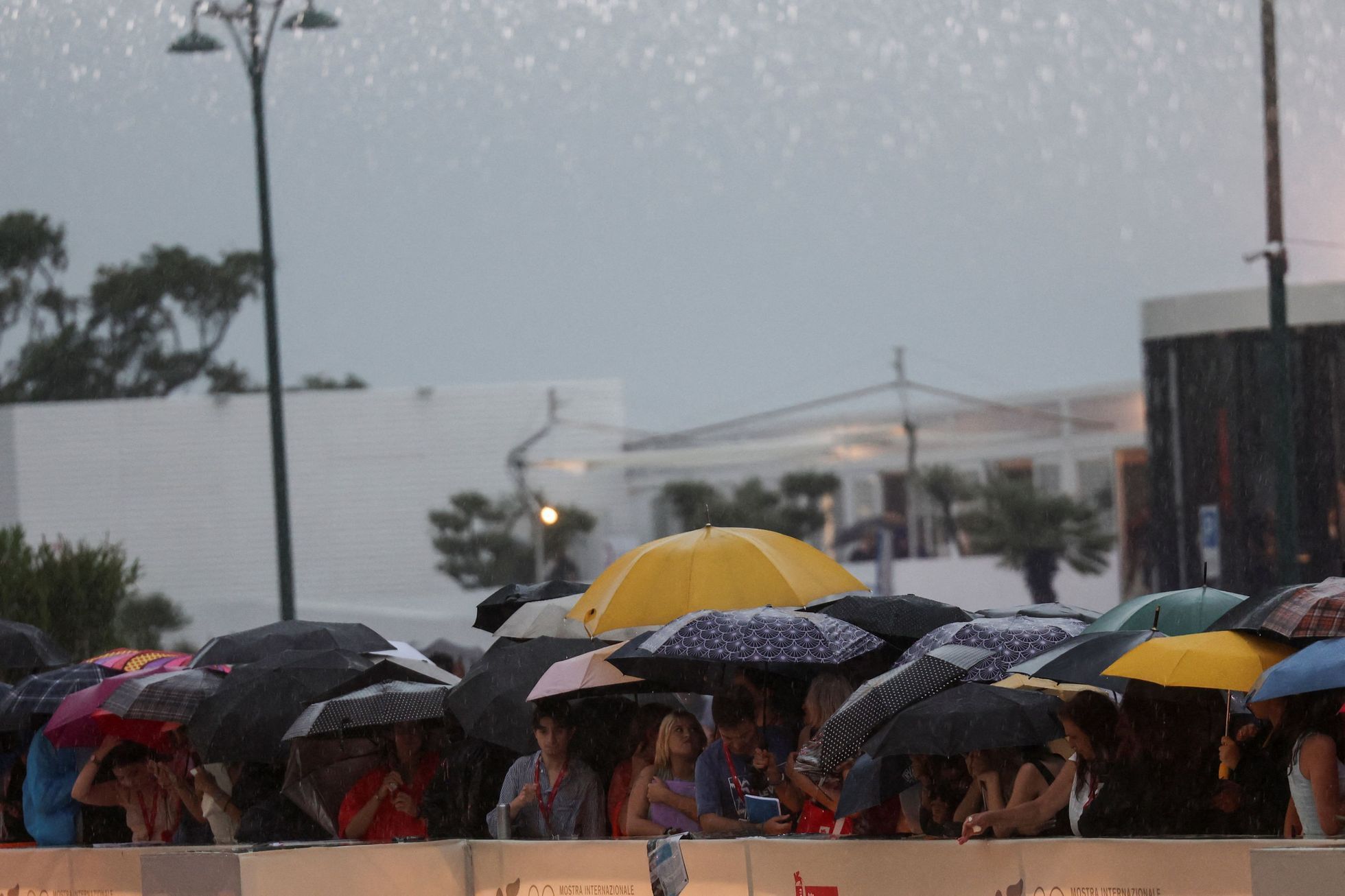 Benátský filmový festival, 82. ročník, filmový festival, Itálie, Benátky, film