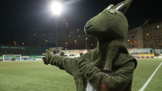 V Ďoličku se místo ligového fotbalu jen řešilo, proč si hráči Bohemians 1905 a Plzně nezahráli.