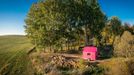 Magenta Tiny House