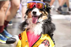 Fantazie bez hranic: Comic-Con 2025 ovládl San Diego, kostýmy vynesli i psi