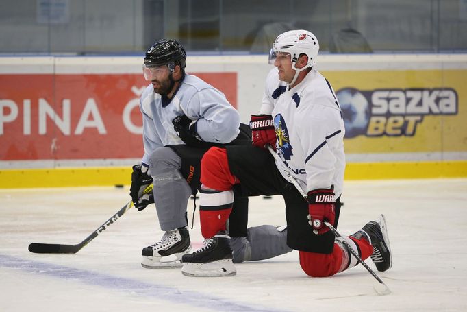 Radko Gudas, Jiří Tlustý