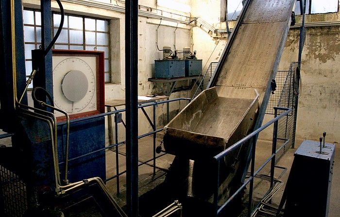 Do Prahy přijeli vánoční kapři