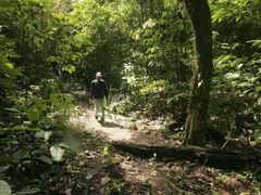 Při troše štěstí mohou turisté spatřit v džungli i ohroženého tygra sumaterského