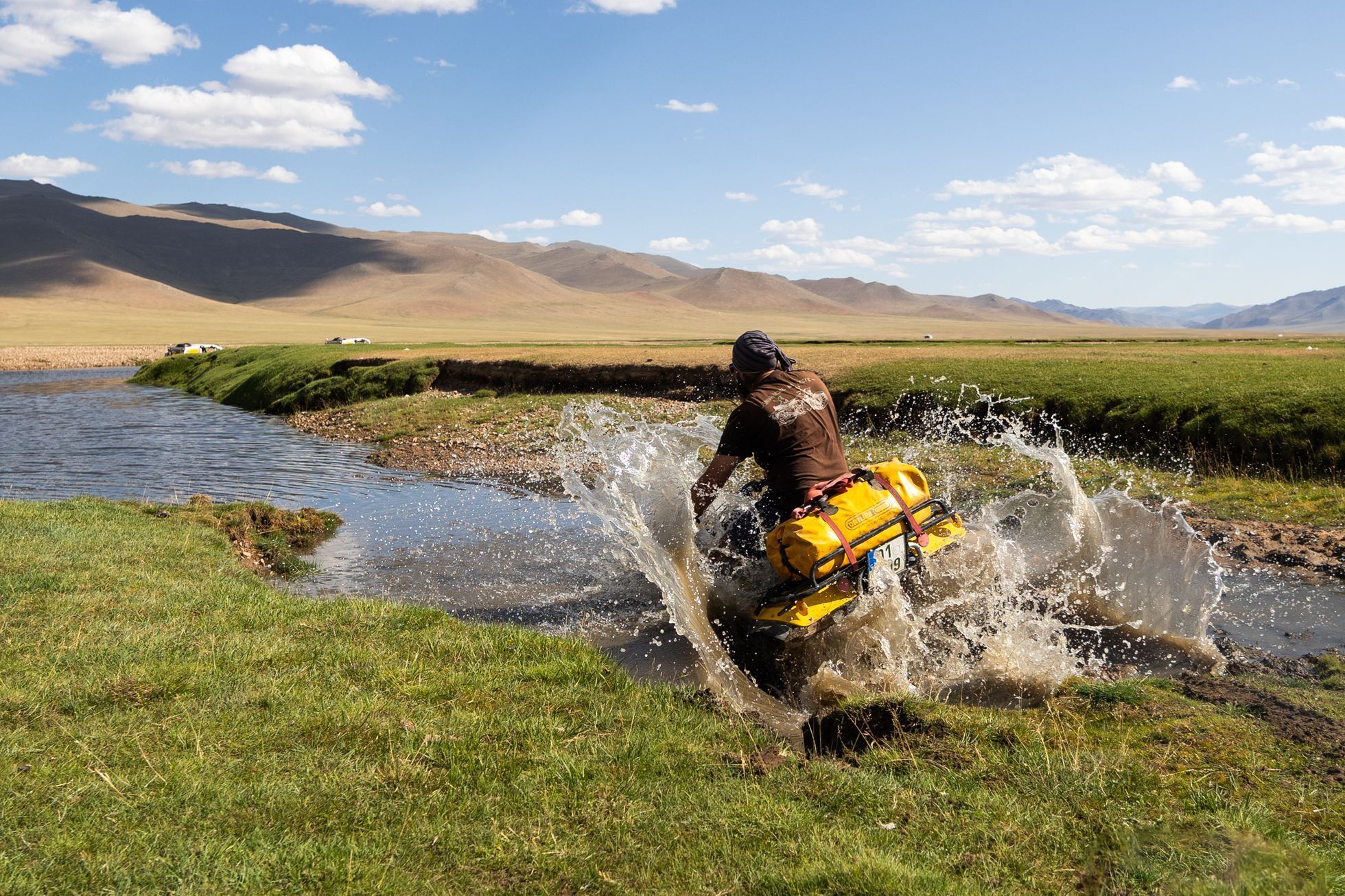 Žlutá žába pluje