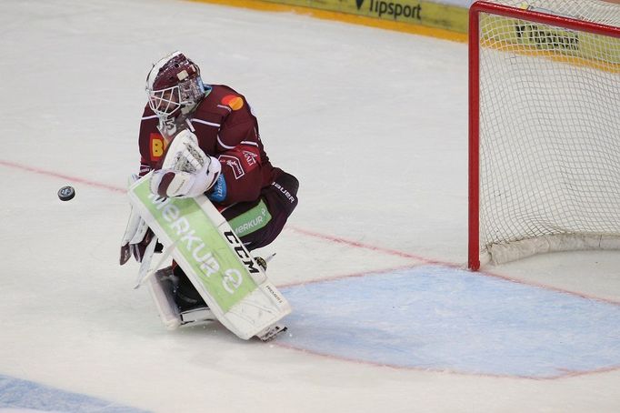 Sparta vs. Hradec Králové, extraliga (Matěj Machovský)