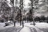 Zasněžený park v Praze Vysočanech
