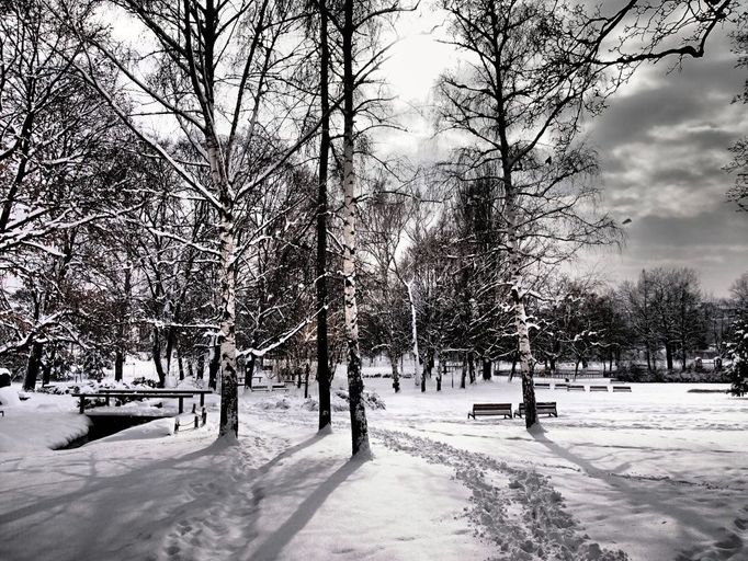 Zasněžený park v Praze Vysočanech