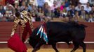 Spanish matador Jose Maria Manzanares performs a pass on a bull during a bullfight in Seville