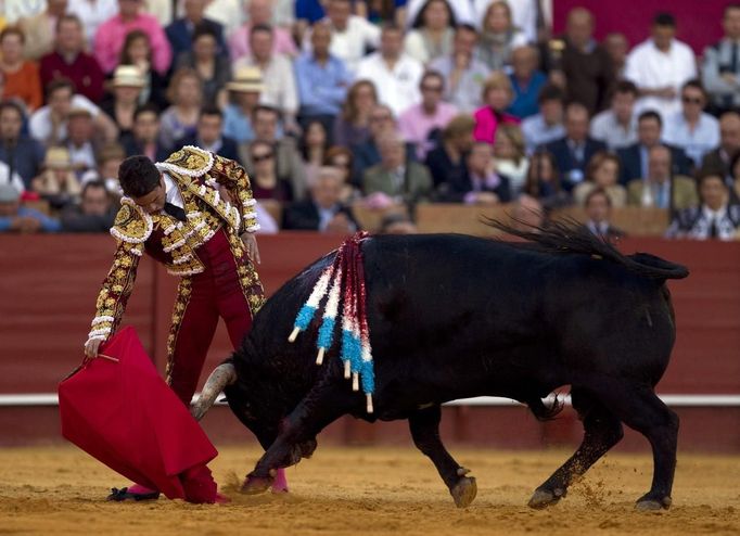 Spanish matador Jose Maria Manzanares performs a pass on a bull during a bullfight in Seville