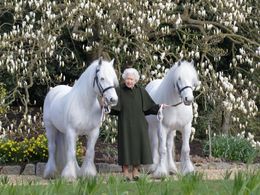 Pevný bod proměnlivého života Britů. Královna Alžběta II. oslaví 96. narozeniny