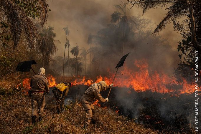 World Press Photo 2021: nejlepší fotkografie přírody a životního prostředí