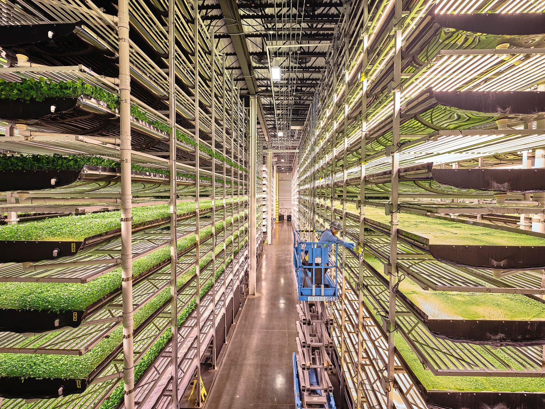 Snímky z výstavy World Press Photo 2020 na Staroměstské radnici v Praze