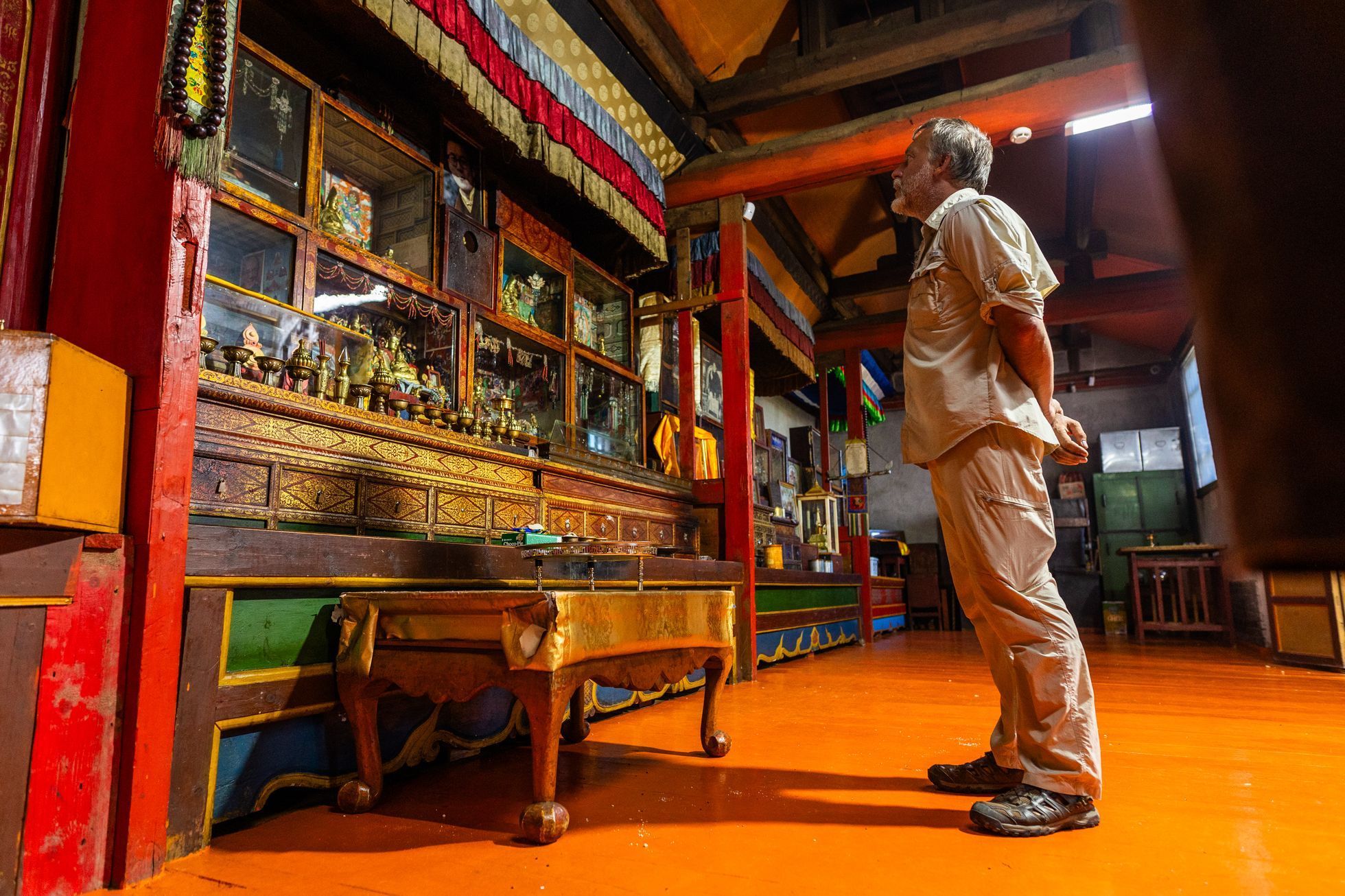 Žlutá žába Dan Přibáň