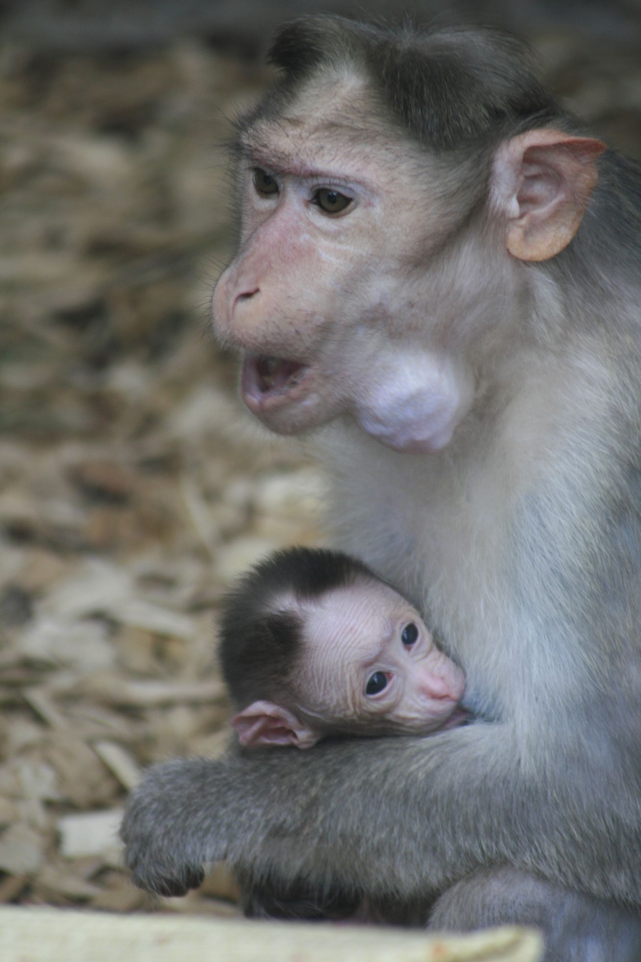ZOO Ústní nad Labem