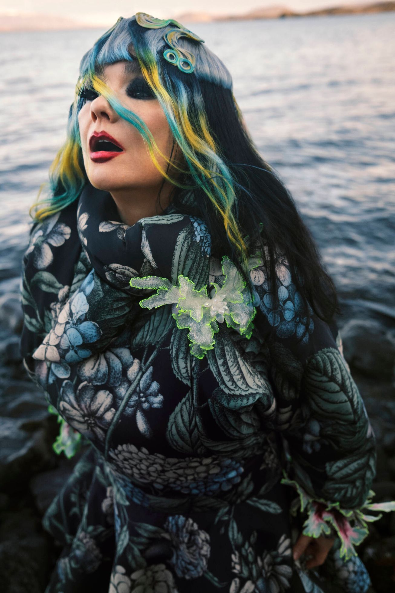 Björk, 2022