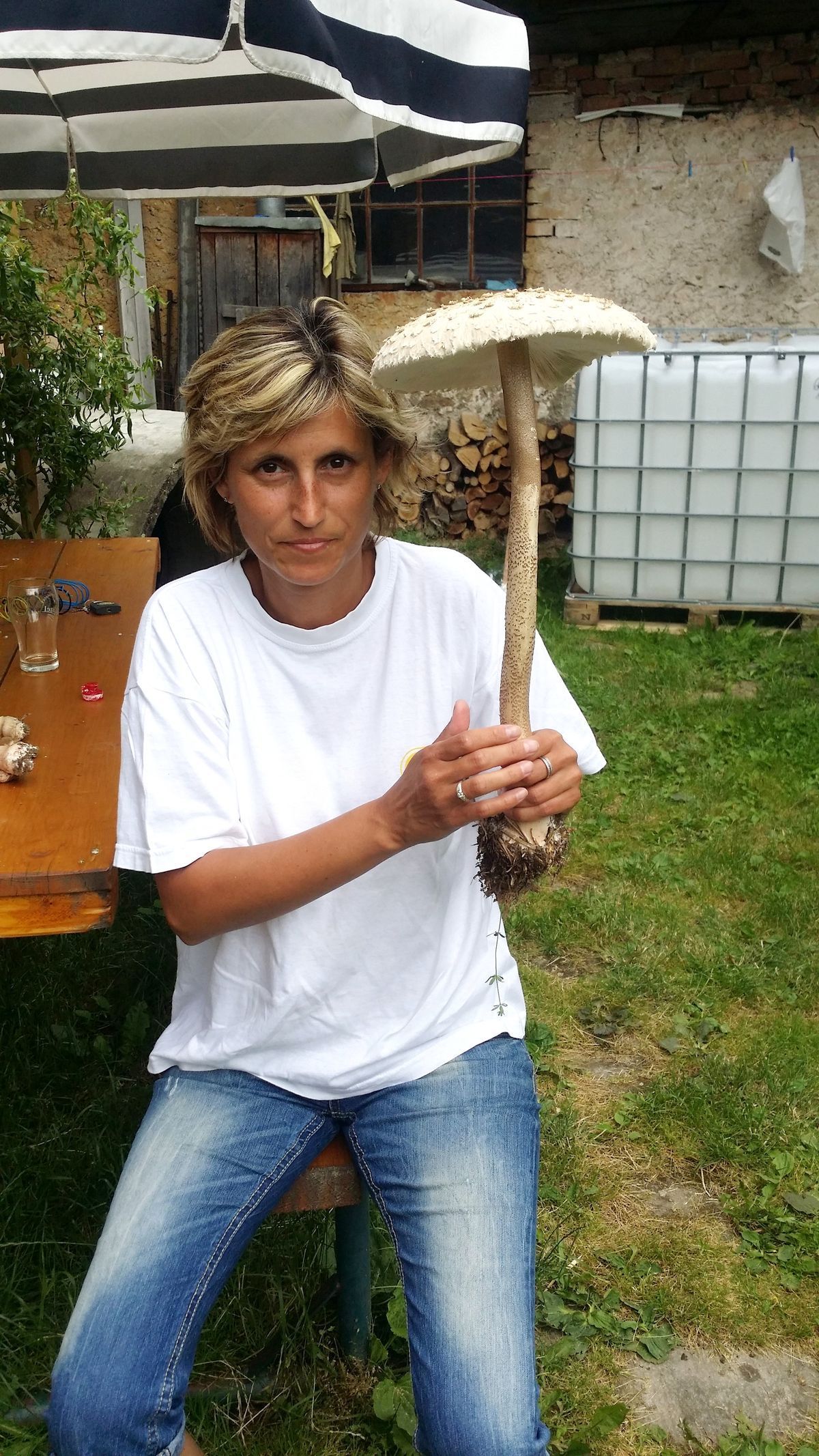 Houby 2016 - Jiří Kuřil