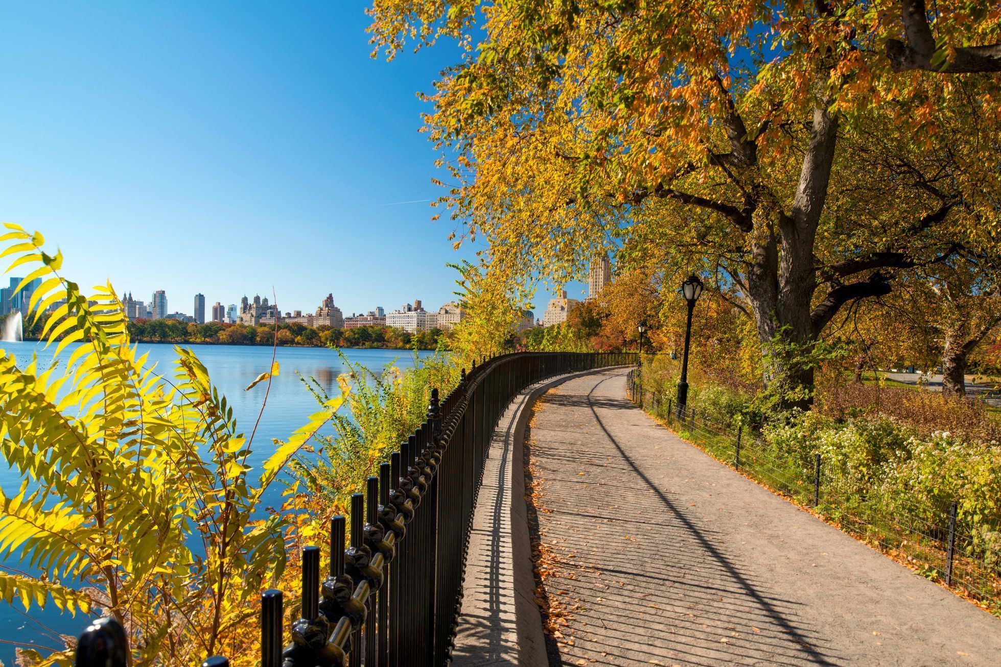 Central Park, New York, výročí, historie, USA, Zahraničí, park
