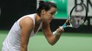 Fed Cup, Česko - Austrálie: Jarmila Gajdošová